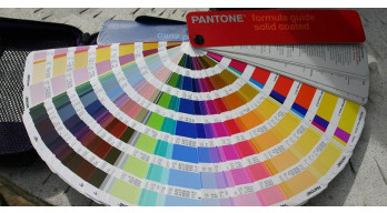 Éclat et harmonie : Plongez dans l'univers des codes de couleurs Pantone pour sublimer votre espace !