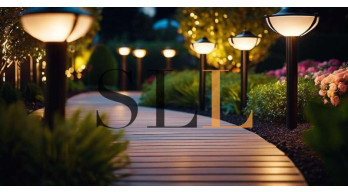 derniers articles images