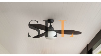 derniers articles images