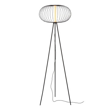 CARBONY, H150cm