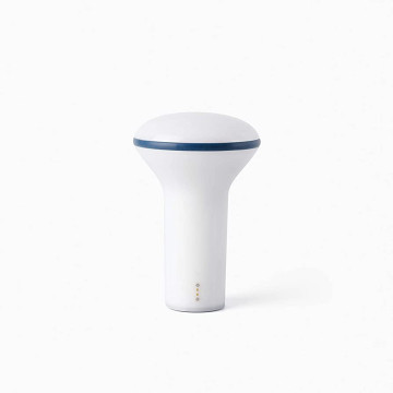 BUDDY, H17cm