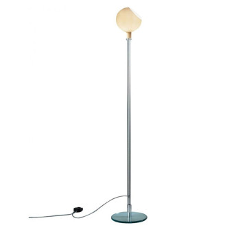 PAROLA, H155cm
