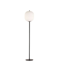 DOMIZIA, H178cm